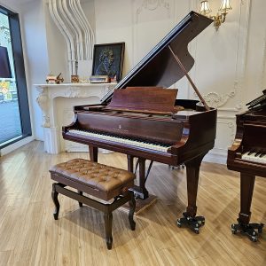 Steinway & Sons M170 典雅胡桃原木