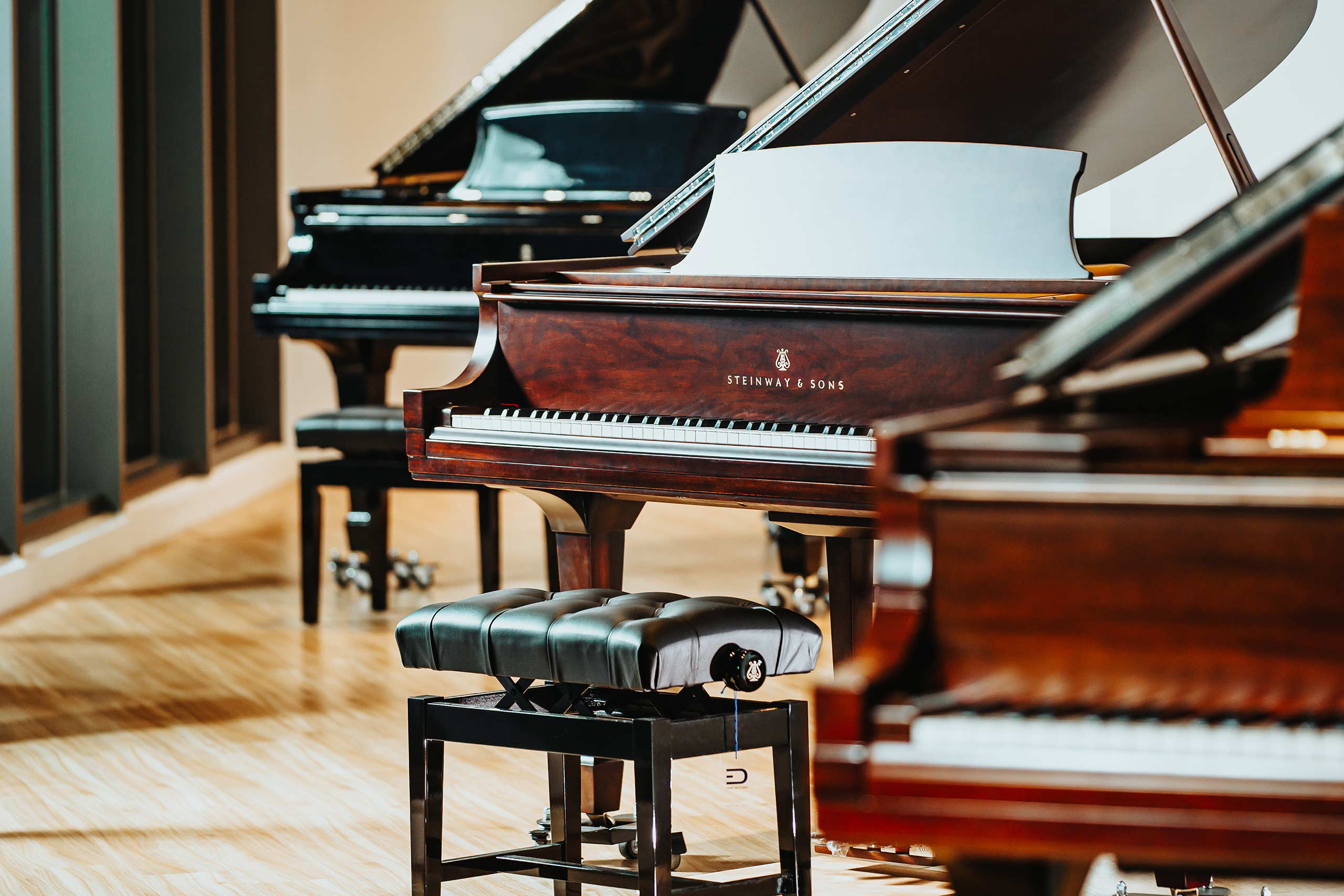 D&D STEINWAY_Duchess_Duke_史坦威鋼琴_1