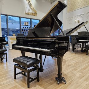 隆重鉅獻🌹2019 - 史坦威鋼琴B211 僅此一台
