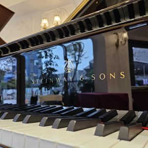 Steinway & Sons O180璀璨黑