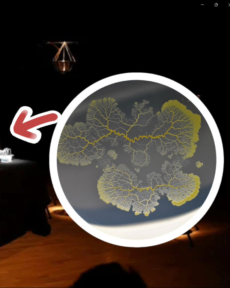 微生物也會彈鋼琴：與「多頭絨泡菌」跨越綱目的二重奏