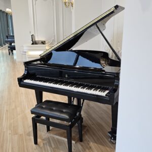 Steinway & Sons L179 清響聆音