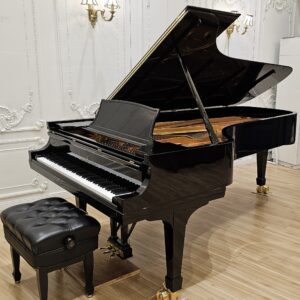 史坦威鋼琴D274：震撼響聆