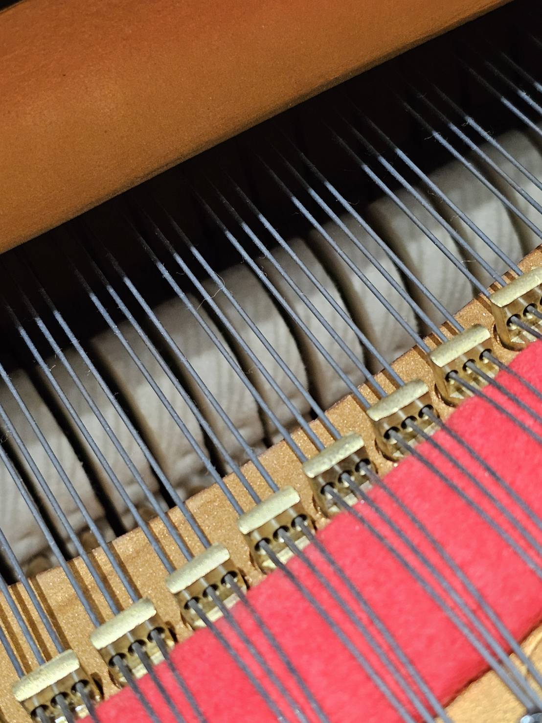 史坦威M170 . 獨樂樂品聆饗宴:圖片 4