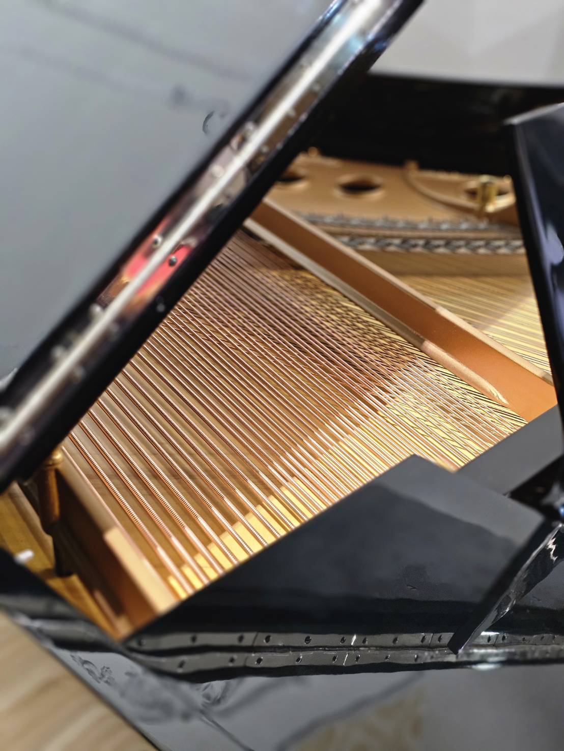 史坦威M170 . 獨樂樂品聆饗宴:圖片 6