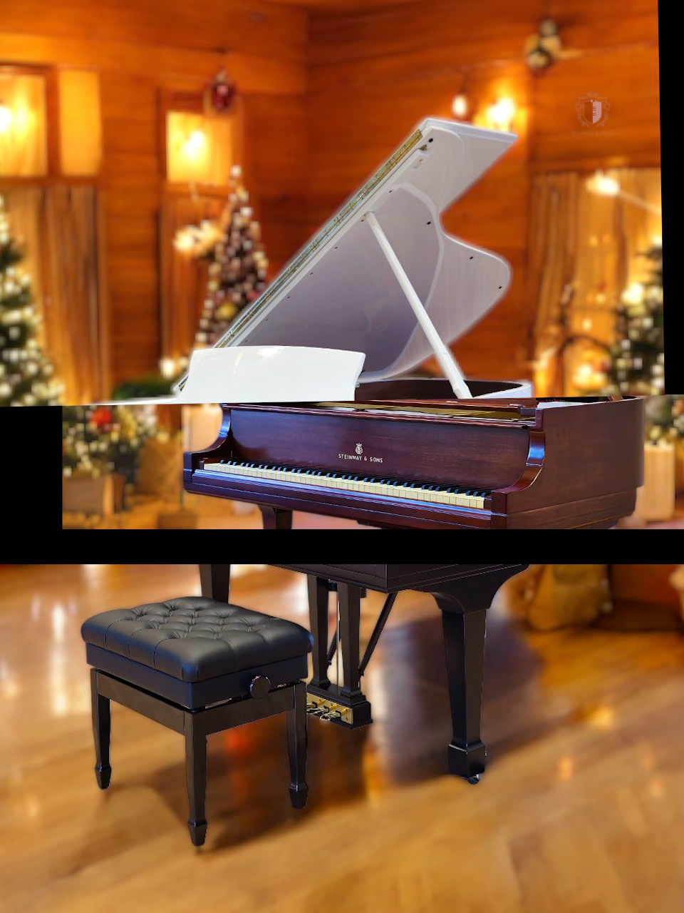 CHRISTMAS NEW YEAR 玩轉繽紛🎁✨