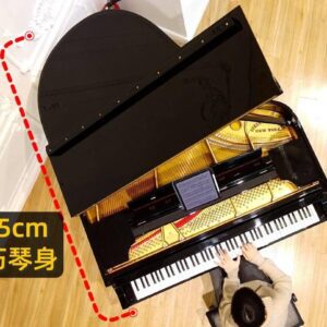 史坦威最便宜的鋼琴？或許是您踏入頂級鋼琴的第一步