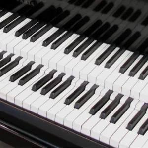 雙鍵盤鋼琴｜當鋼琴家不再受限於八度：從轟動樂壇到幾近消失