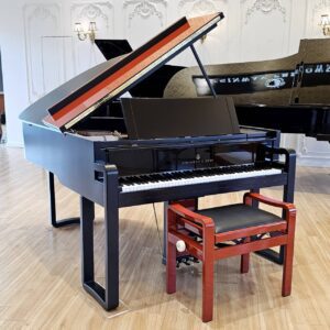 【THE S.L.ED】Karl Lagerfeld：時尚老佛爺．尊榮限量