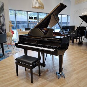 Steinway & Sons 史坦威鋼琴A188：優雅通透．聲色精緻