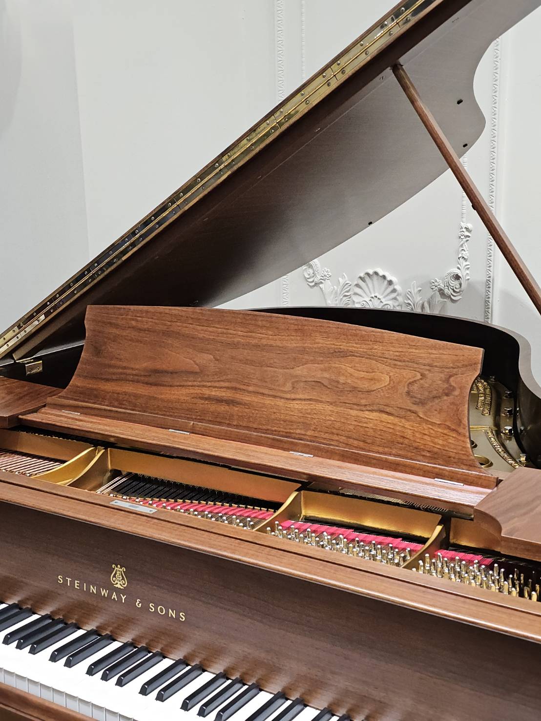 史坦威鋼琴 Steinway M170 典雅胡桃原木:圖片 2